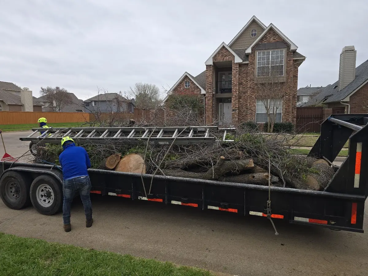 Expert Lot Clearing with proper safety equipment in De Leon
